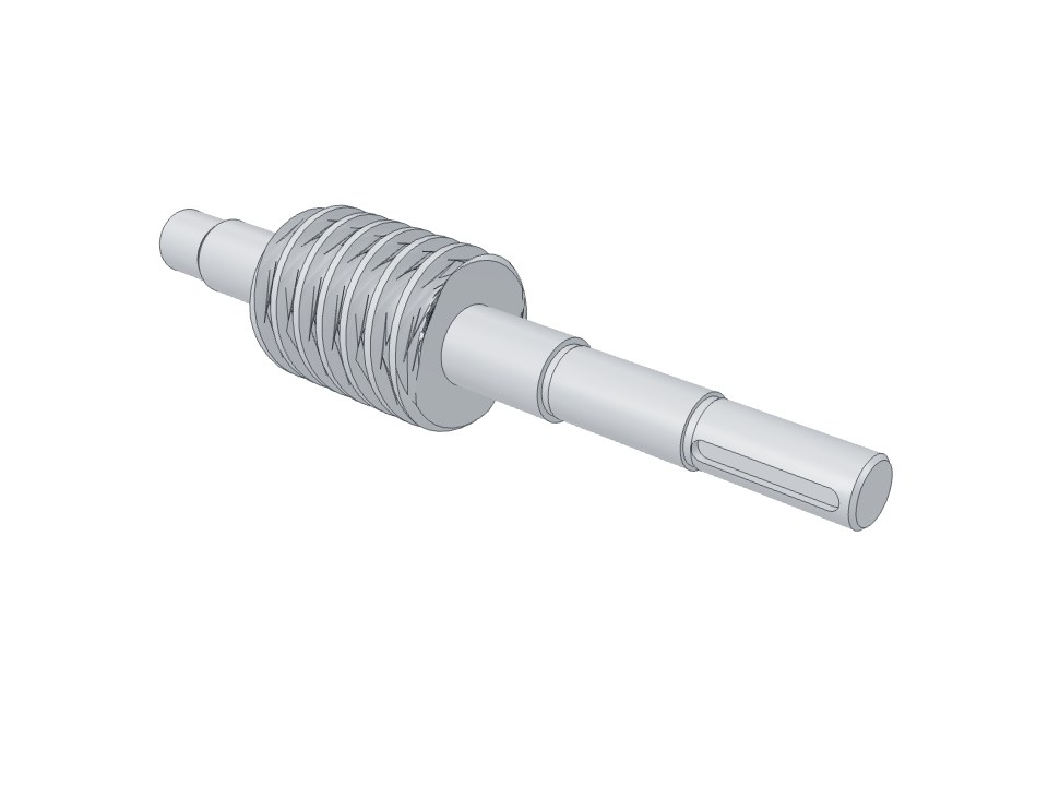 3D model: Worm PTsK-08.S512 (steel 45)